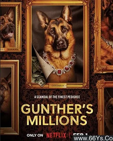 《亿万富犬》：狗狗的奢华人生，喜剧与温情的完美结合