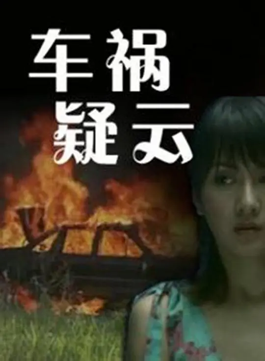《车祸疑云》：真相迷雾下的道德拷问，引人入胜的悬疑之旅