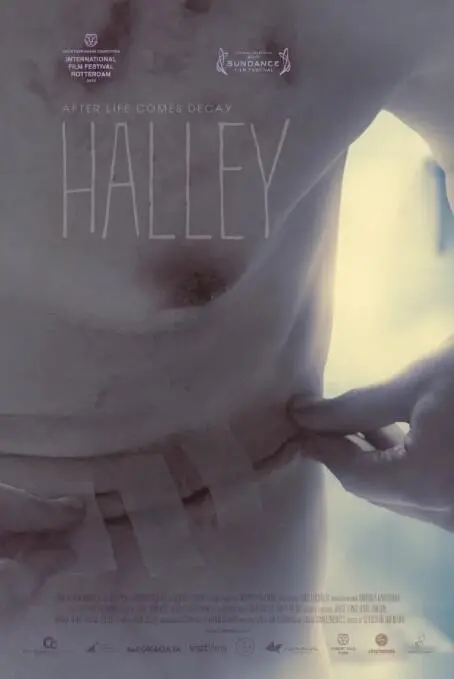 《哈雷》影评：末世废土下的爱情挽歌，暴力与温情的残酷交织，灵魂的救赎之路？